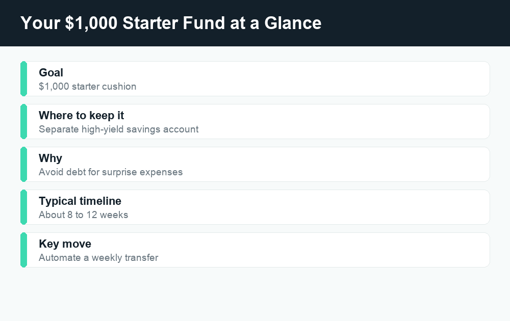 Fact card summarizing the goal, location, purpose, and timeline of a $1,000 emergency fund