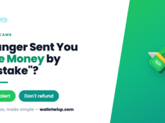 A Stranger “Accidentally” Sent Me Money on Zelle and Wants It Back — Is It a Scam? A Stranger "Accidentally" Sent Me Money on Zelle and Wants It Back — Is It a Scam?